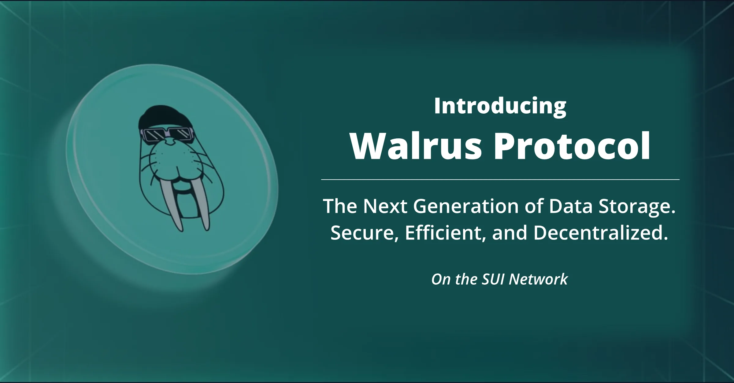 Walrus Protocol - ALT Image Walrus Protocol on the SUI Blockchain. A New Decentralized Storage Solution.