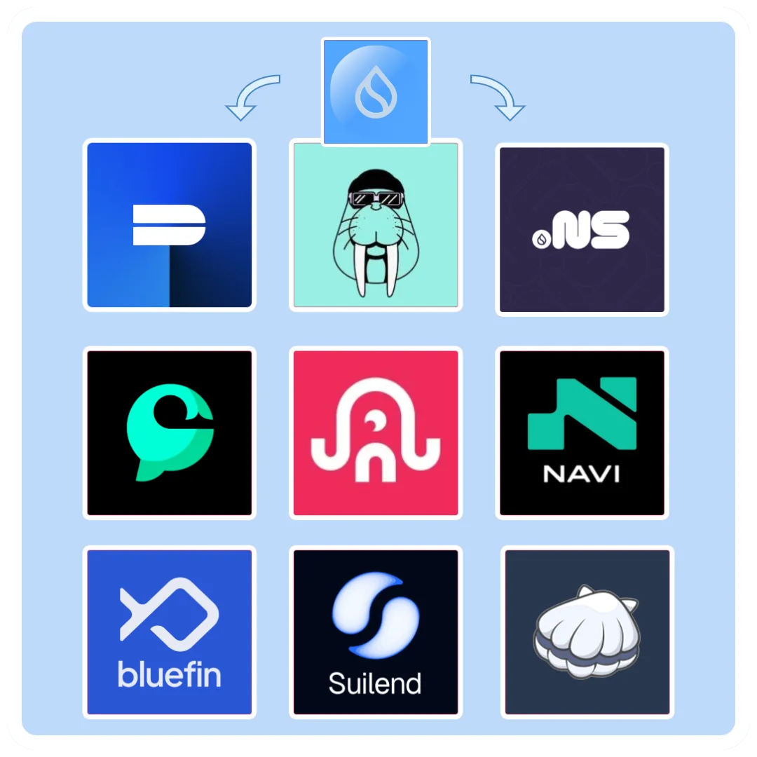 TOP 10 TOKENS ON - SUI NETWORK SUI