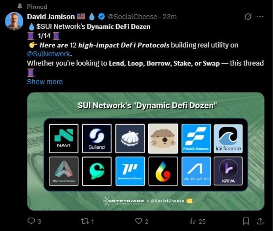 SUI Networks DeFi Dozen - X Thread associated with this Blog Post SUI Networks DeFi Dozen - X Thread associated with this Blog Post