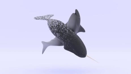 Narwhal + Bullshark Consensus on SUI Narwhal - Bullshark Consensus SUI Network