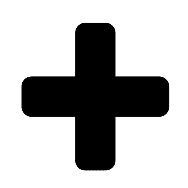 Plus Symbol PLUS