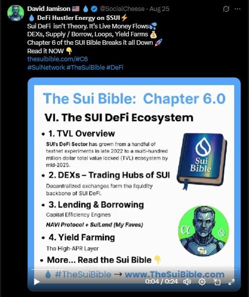 The Sui Bible - Chapter 6 X Post The Sui Bible - Chapter 6 X Post