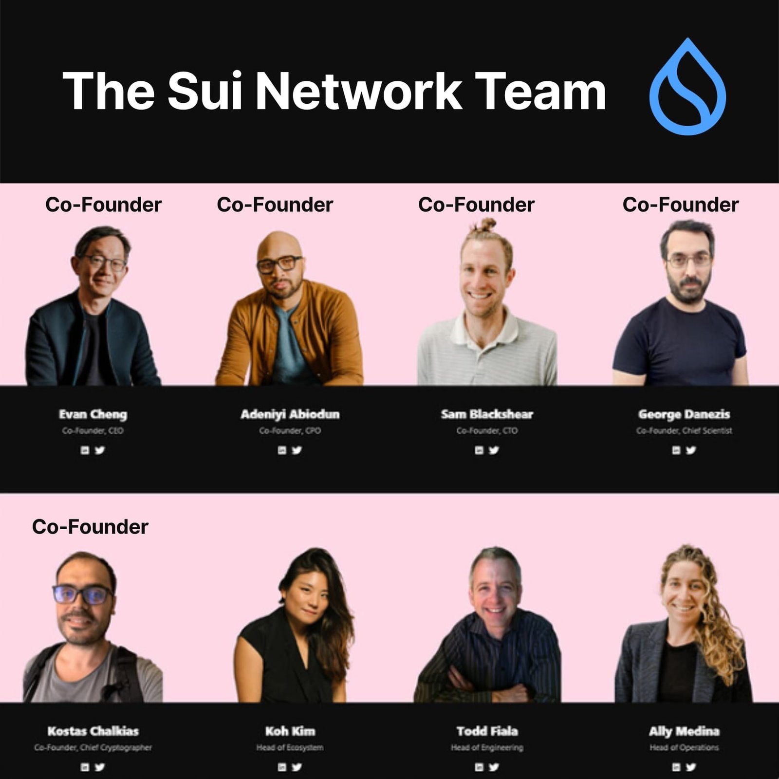 The Team at the Sui Network The Team at the Sui Network / Mysten Labs
